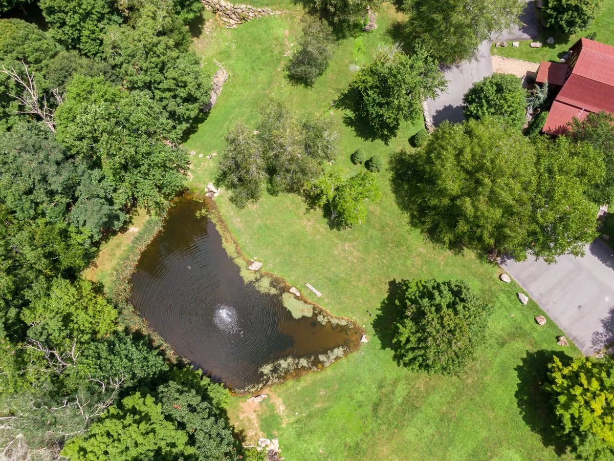 A peaceful pond bordered by greenery, with a nearby building and a stone wall providing a sense of place. The scene evokes quiet moments of fishing and relaxing by the water, surrounded by the gentle beauty of the landscape.