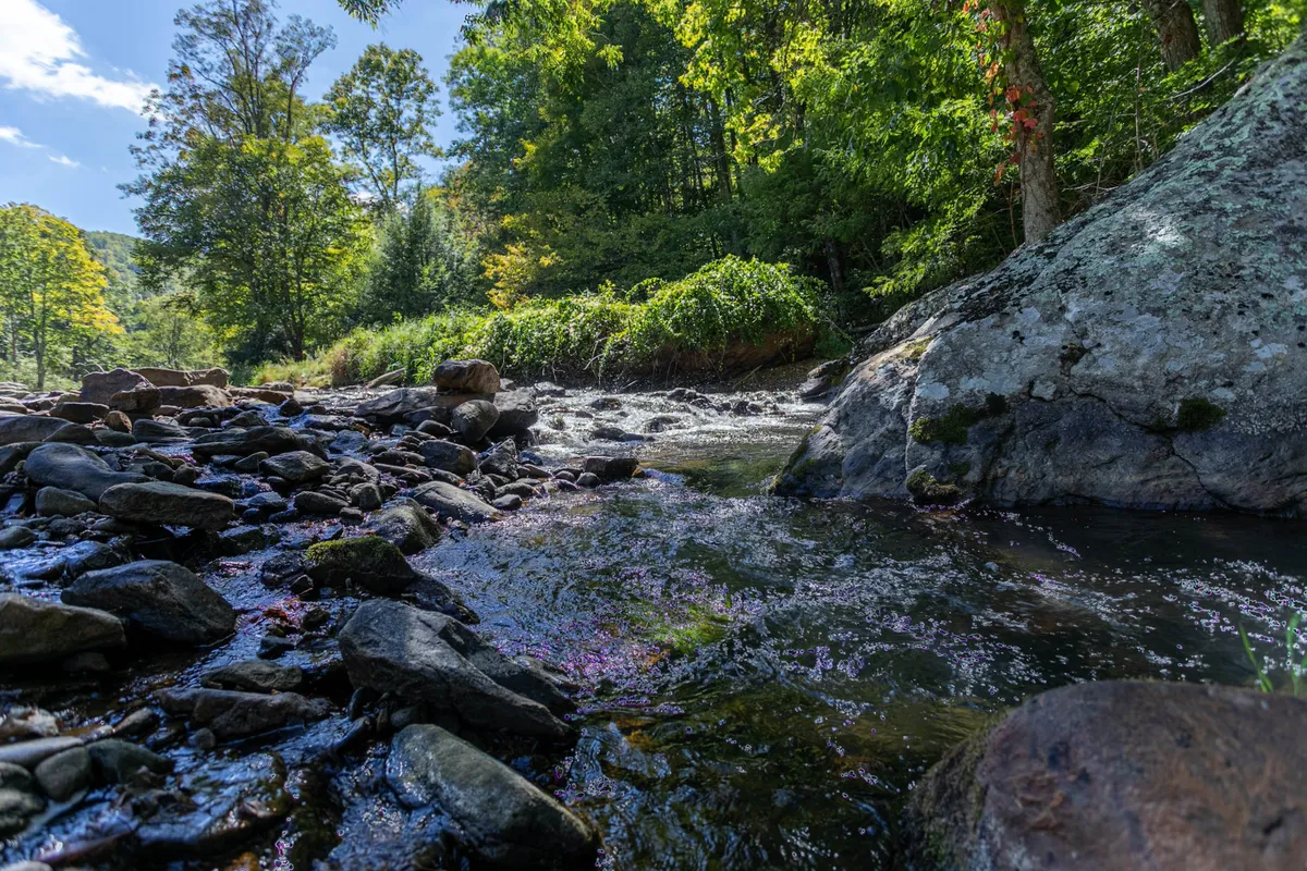 A tranquil river scene featuring flowing water and smooth rocks surrounded by lush greenery. The natural setting invites viewers to imagine fishing, exploring the riverbank, or simply enjoying the serenity of the outdoors.